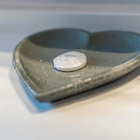 Luxe Familievilla Voor 9pers Aan Zee Met Tuin Villa